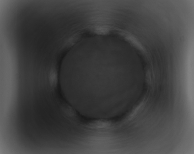 X0000100920697200807081151