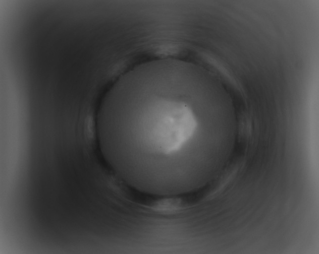 X0000100920700200807081151