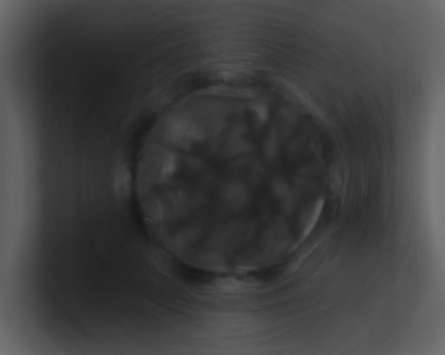 X0000100920703200807081151