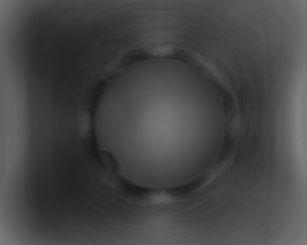 X0000100920704200807081151