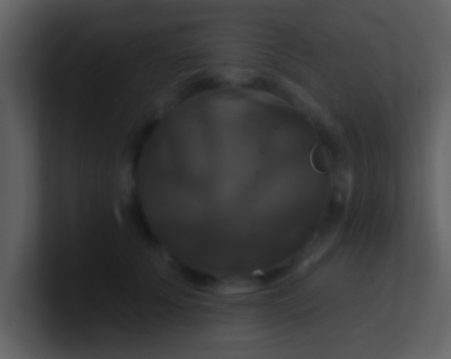 X0000100920707200807081151