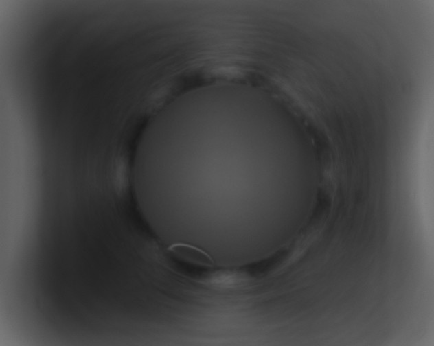 X0000100920708200807081151