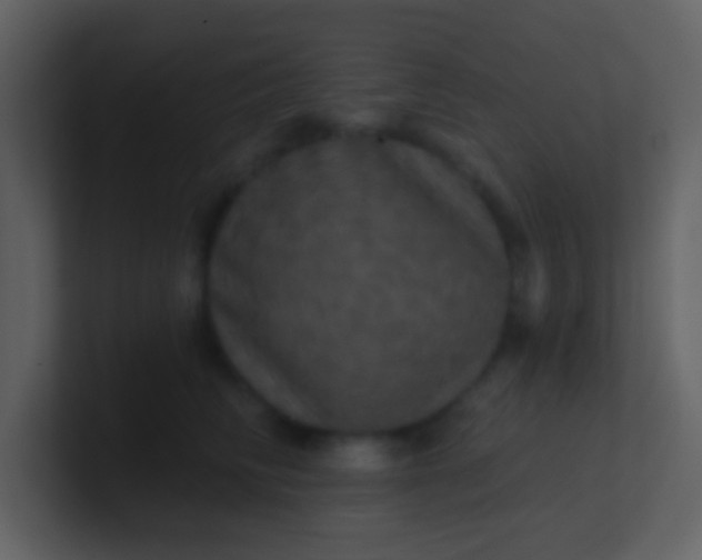 X0000100920710200807081151