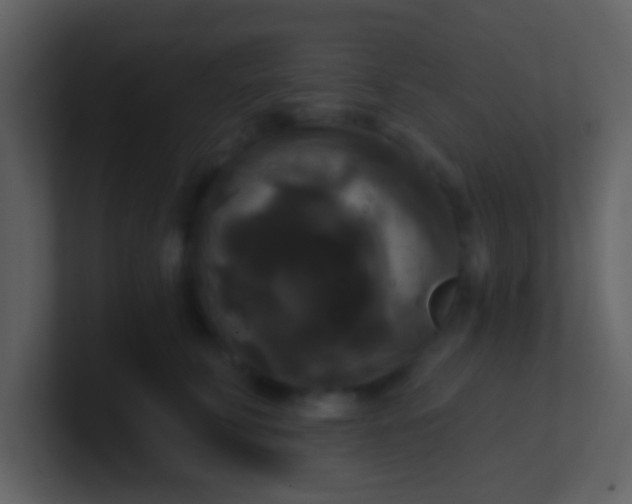 X0000100920711200807081151