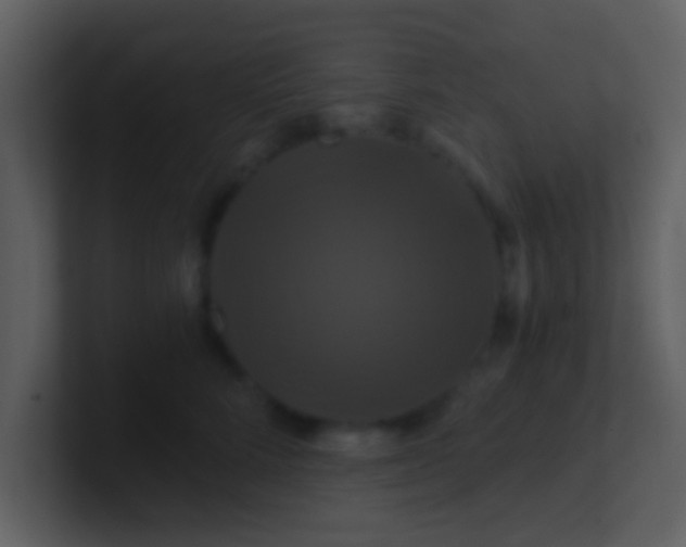 X0000100920712200807081151