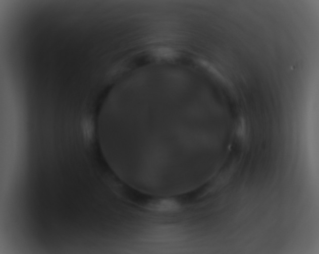 X0000100920715200807081151