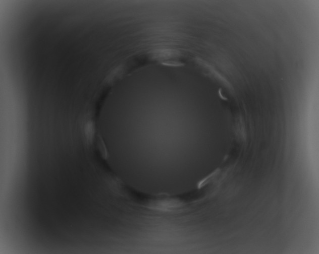 X0000100920716200807081151