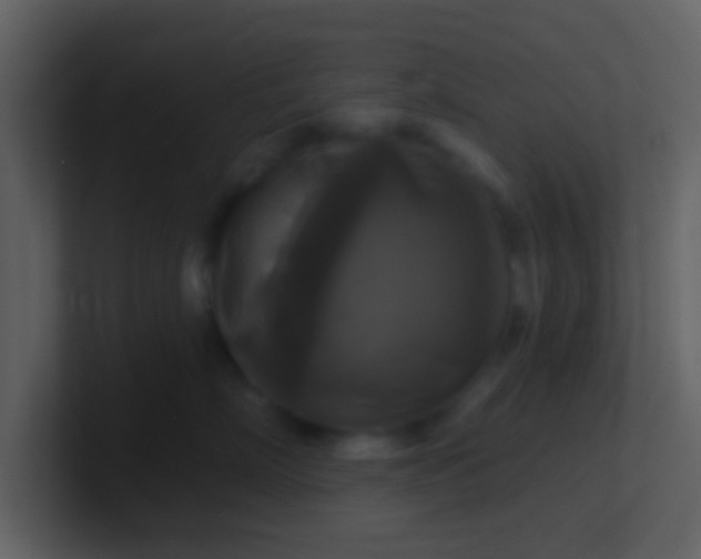 X0000100920718200807081151