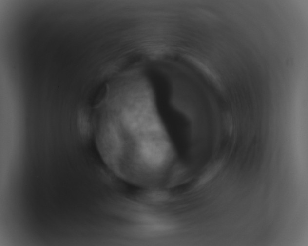 X0000100920719200807081151