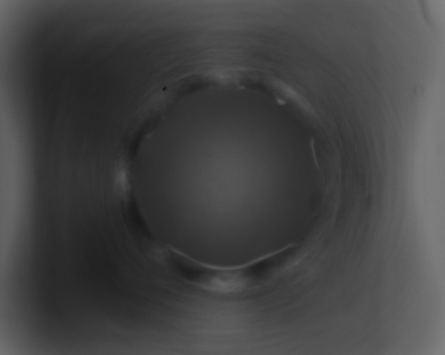 X0000100920720200807081151