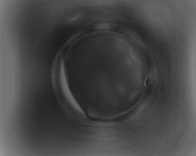 X0000100920722200807081150