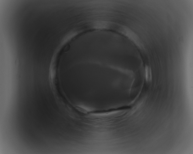 X0000100920723200807081150