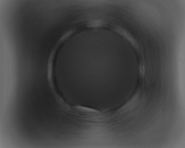 X0000100920724200807081150