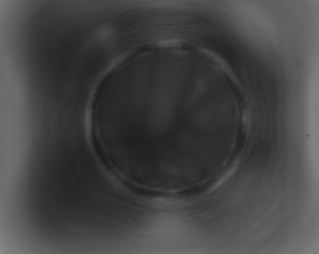 X0000100920725200807081150