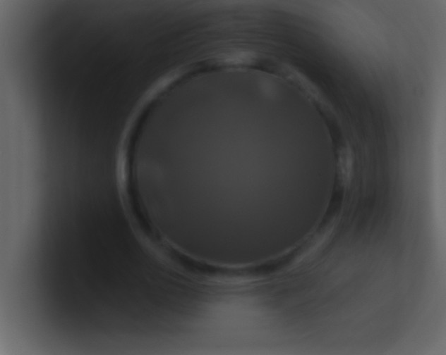 X0000100920726200807081150