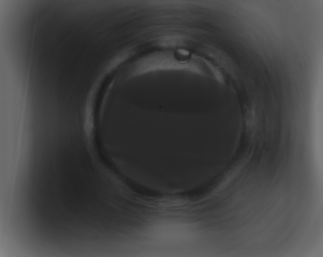 X0000100920727200807081150