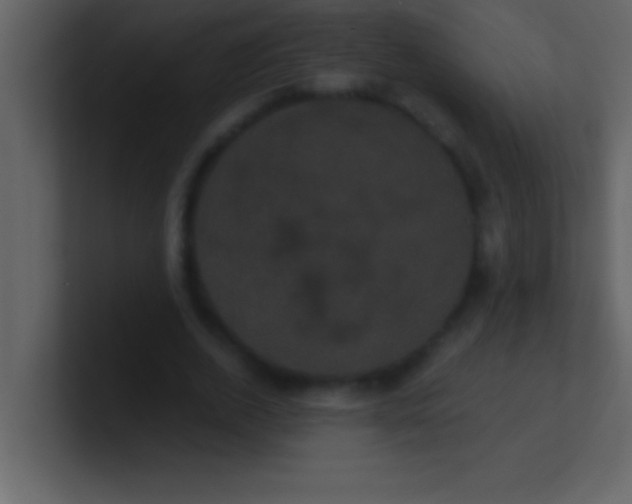 X0000100920728200807081150