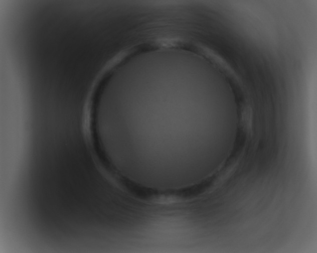 X0000100920730200807081150