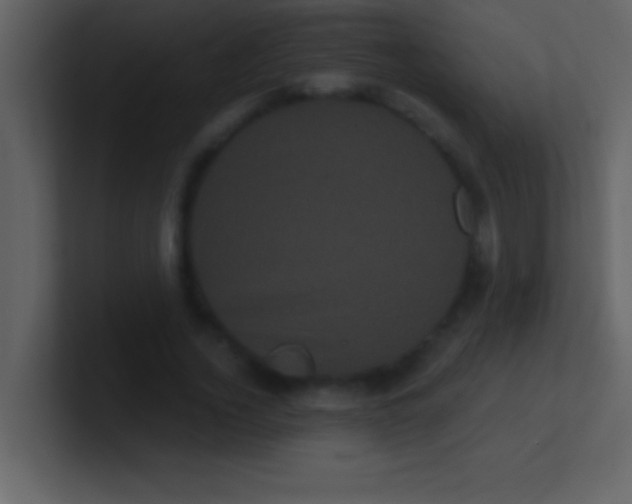 X0000100920732200807081150