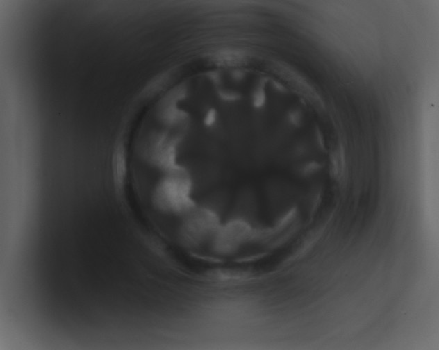 X0000100920733200807081150