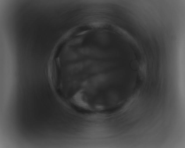 X0000100920734200807081150