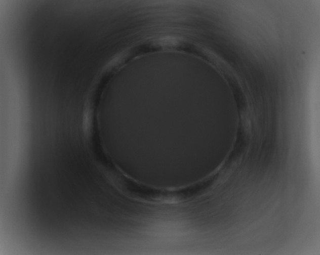 X0000100920735200807081150