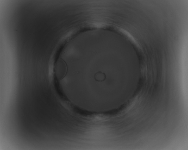 X0000100920736200807081150