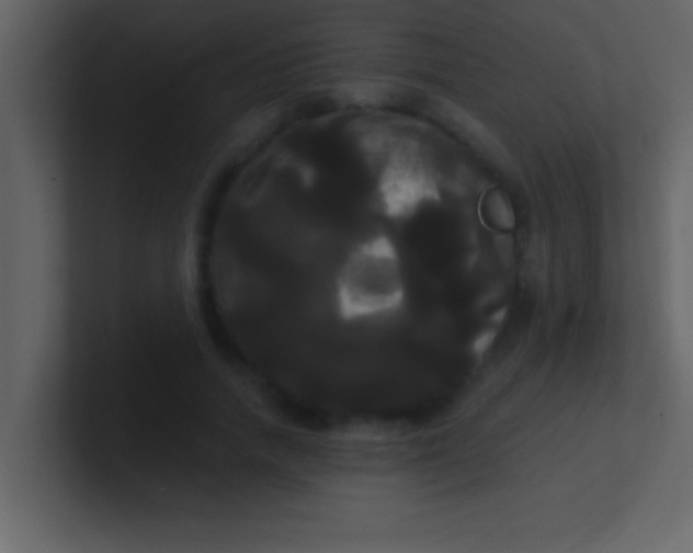 X0000100920738200807081150