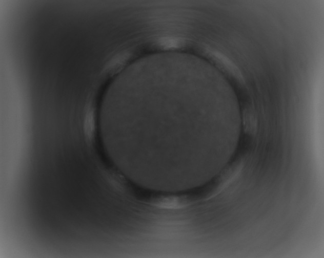 X0000100920740200807081150