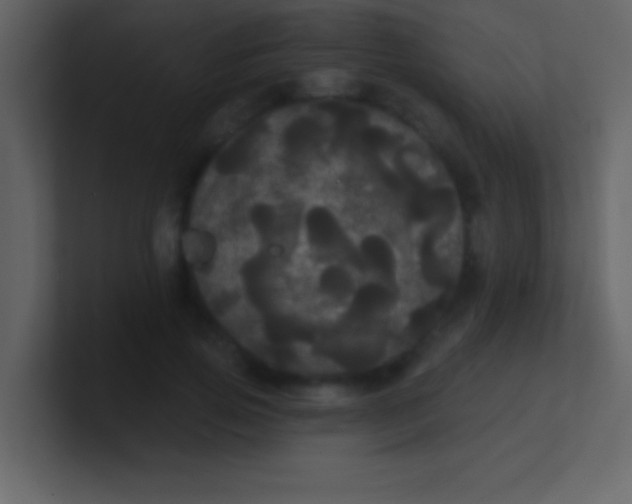 X0000100920741200807081150