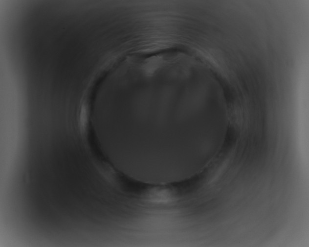 X0000100920742200807081150