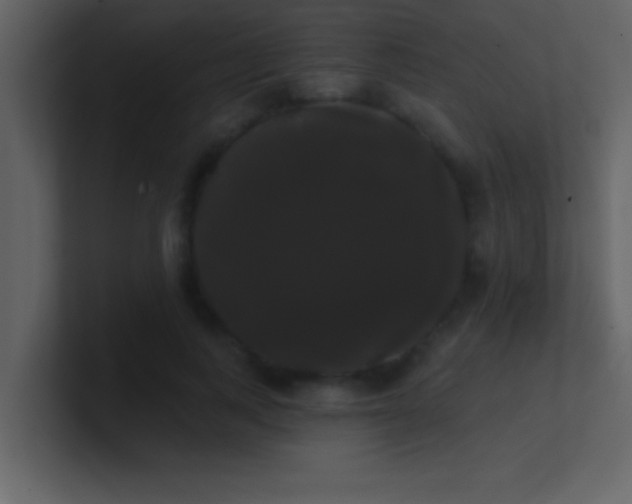 X0000100920743200807081150