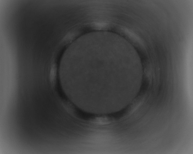 X0000100920744200807081150