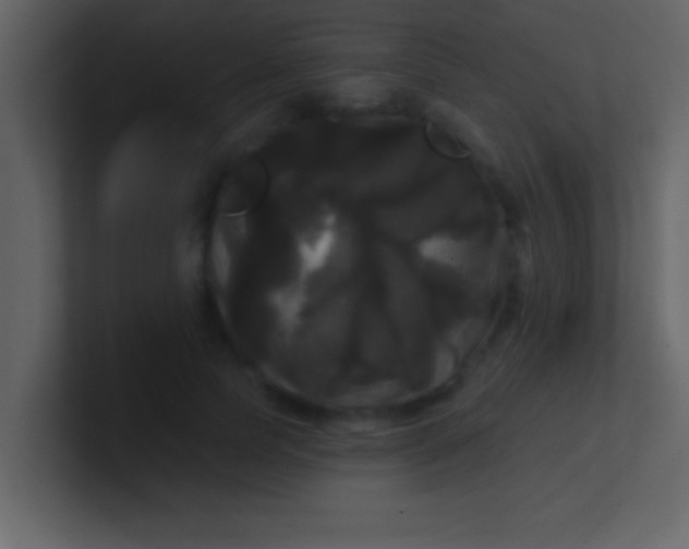 X0000100920745200807081150