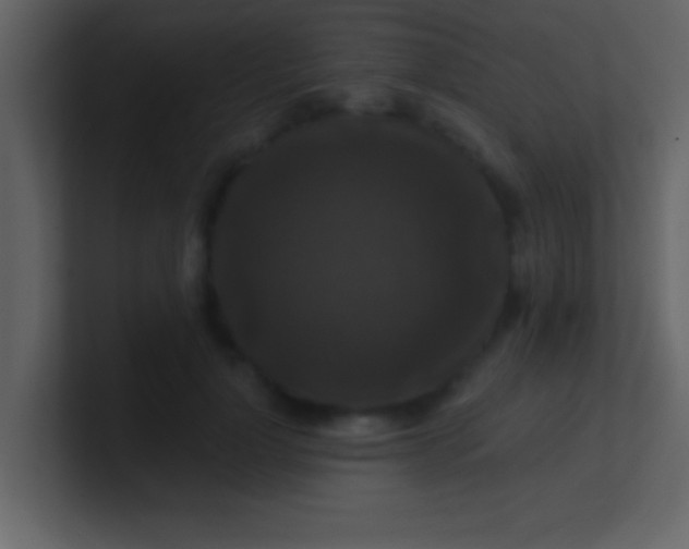 X0000100920748200807081151