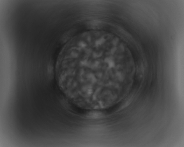 X0000100920749200807081151