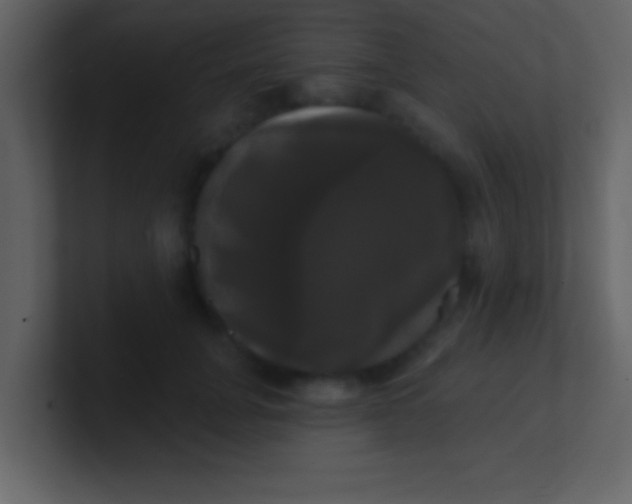 X0000100920751200807081151