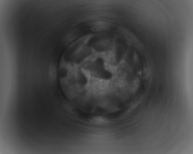 X0000100920753200807081151