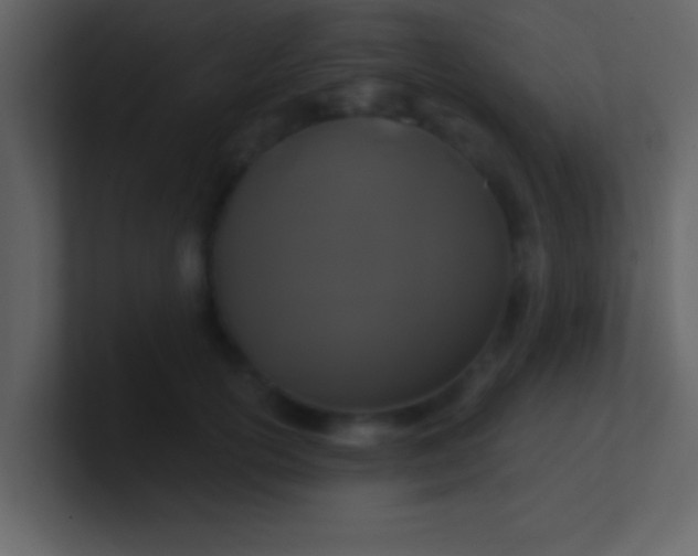 X0000100920754200807081151