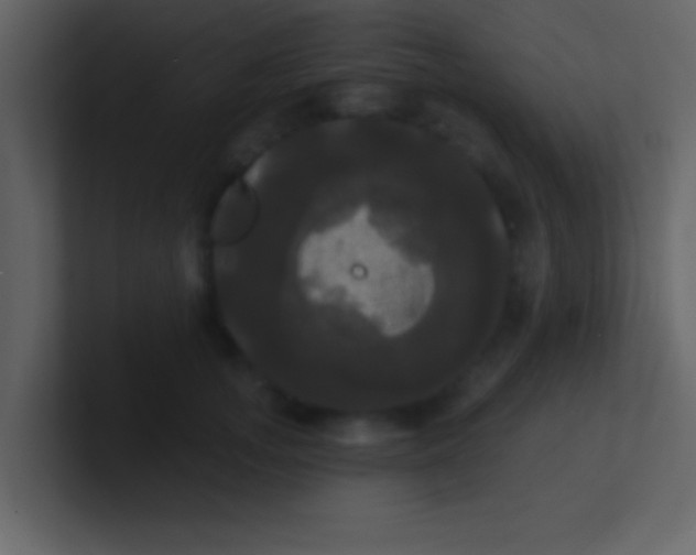 X0000100920755200807081151