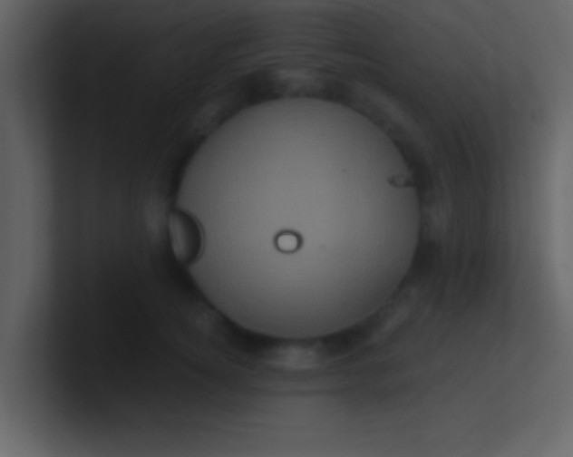 X0000100920756200807081151