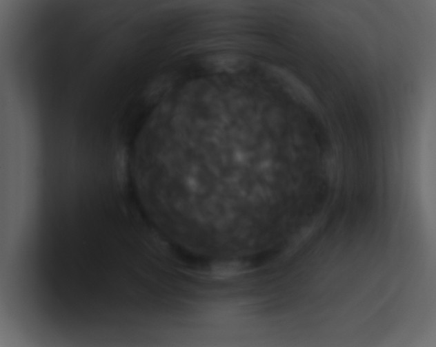 X0000100920757200807081151