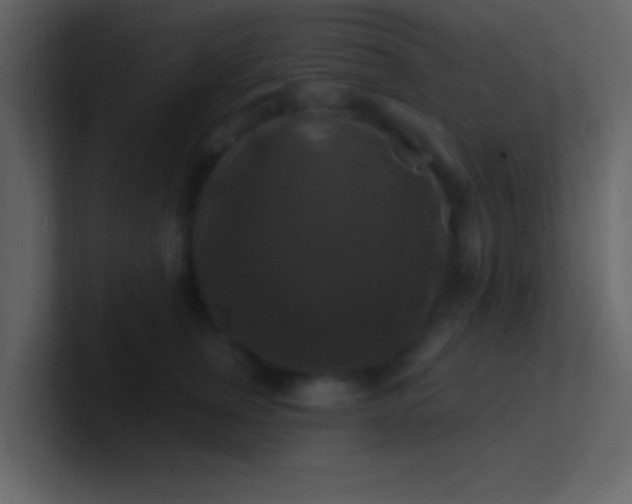 X0000100920759200807081151