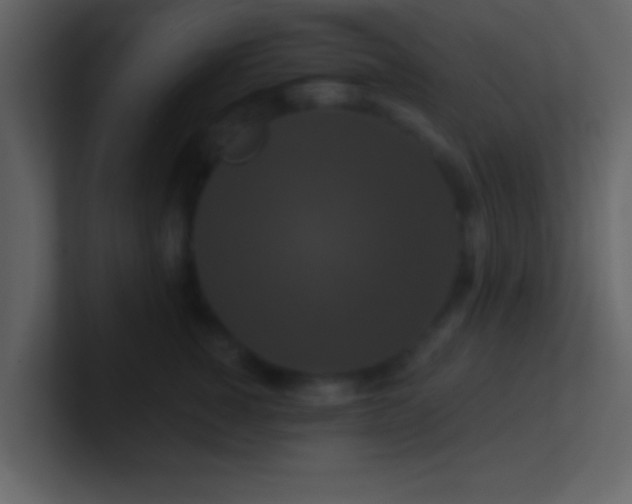 X0000100920760200807081151