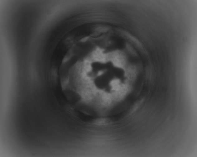 X0000100920761200807081151