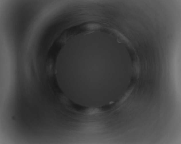 X0000100920762200807081151