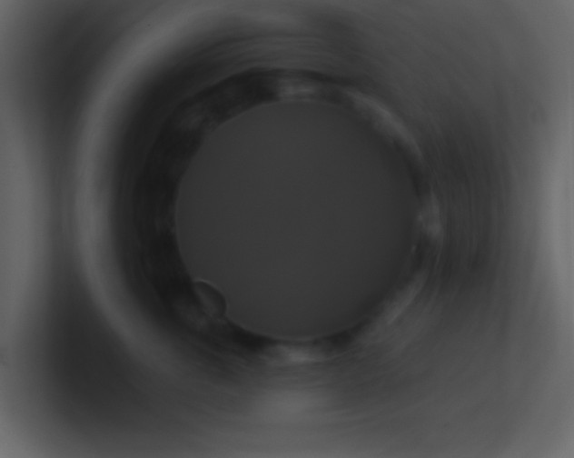 X0000100920763200807081151