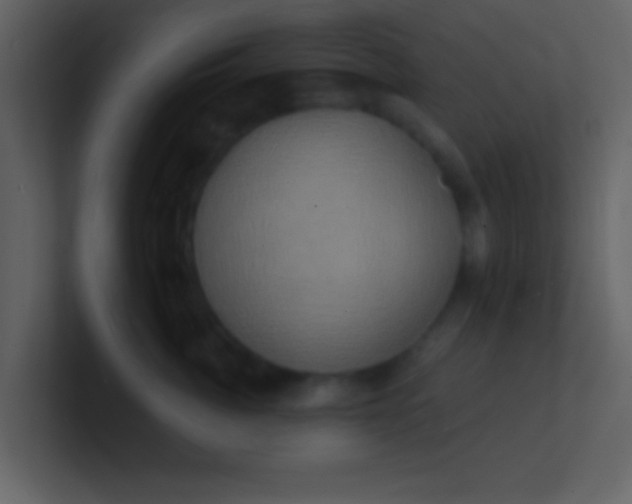 X0000100920764200807081151