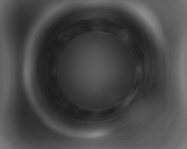 X0000100920765200807081151