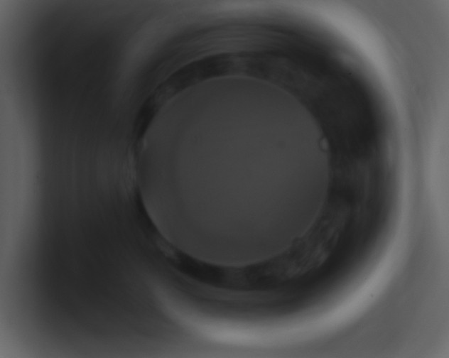 X0000100920766200807081151